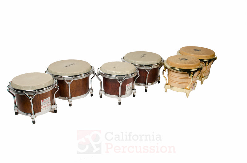 Bongo Rental