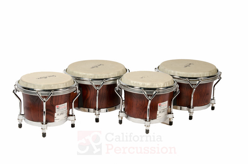 Bongo Rental