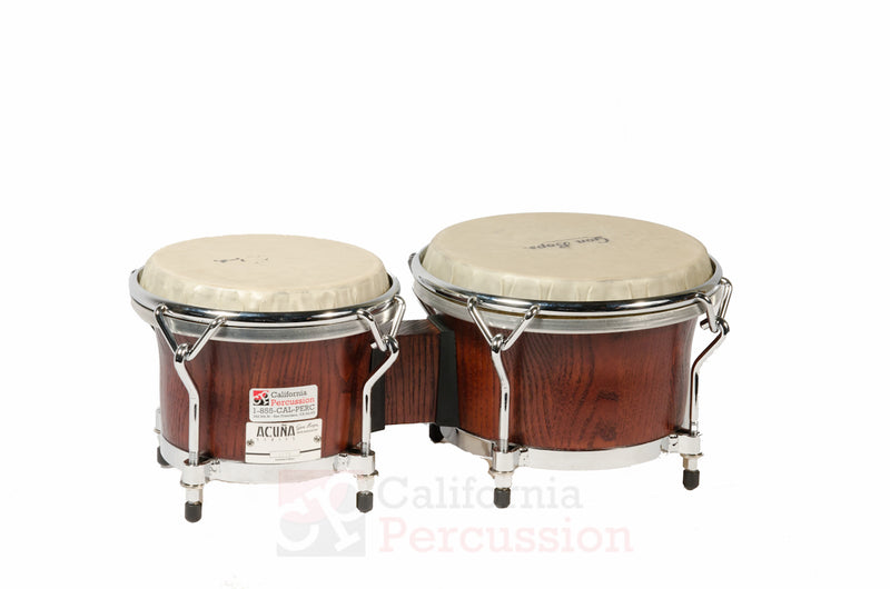 Bongo Rental