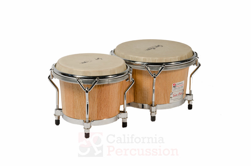 Bongo Rental