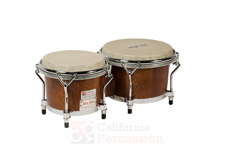Bongo Rental