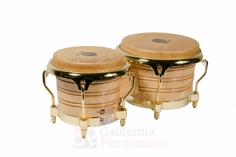 Bongo Rental