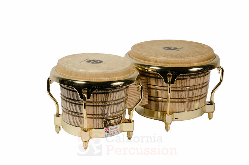 Bongo Rental