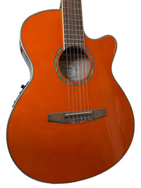 Ibanez AEG10NE-TNG body detail with Fishman preamp