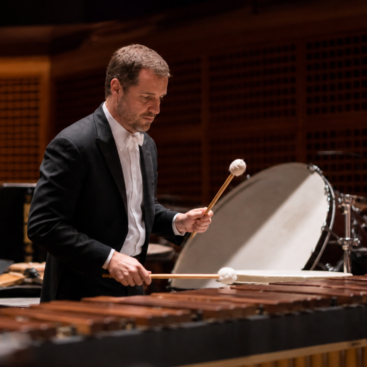 Concert percussionist playing marimba in formal dress.